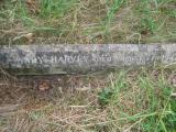 image of grave number 443835